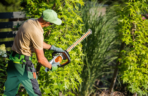 trimming trees | hoa landscape maintenance